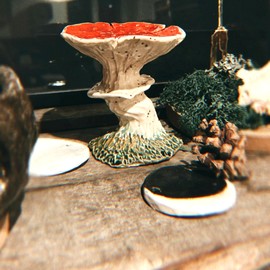 Champignon rituel